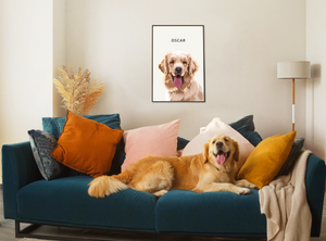 Dog on the sofa with a picture hanging on the wall behind him