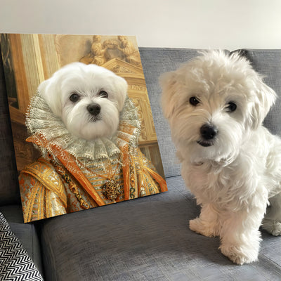 Costume Pet Portraits - Renaissance